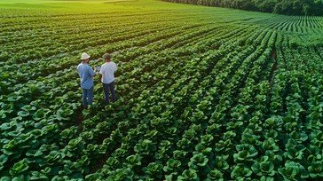 Healthy farm with farmer inspecting crops